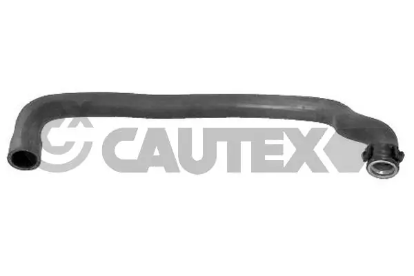 031137 Cautex