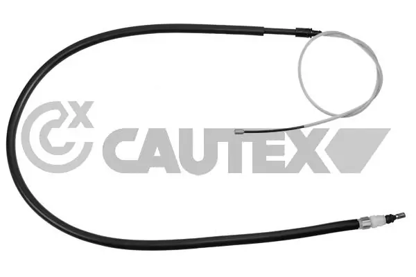 038519 Cautex