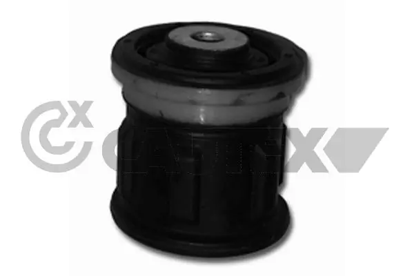080168 Cautex