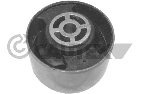 030287 Cautex