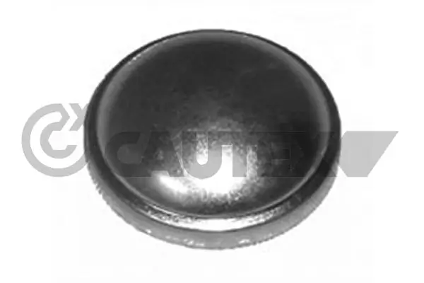 951017 Cautex