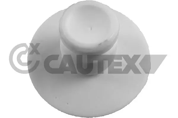 769913 Cautex