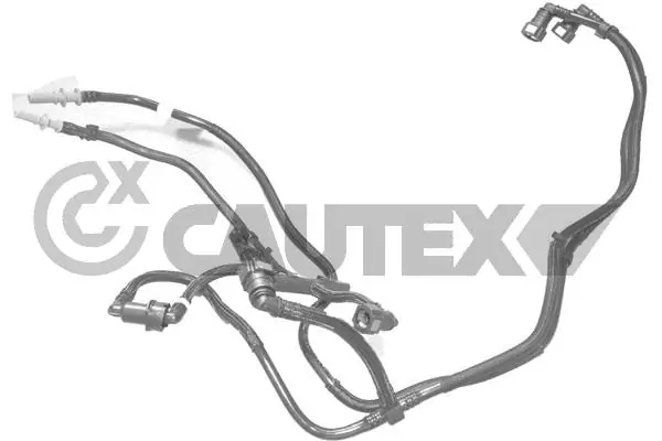 757144 Cautex