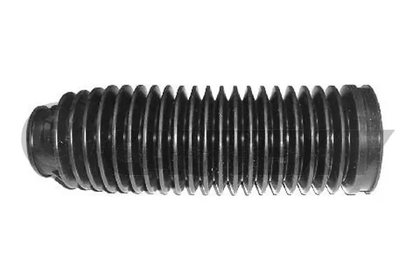210491 Cautex