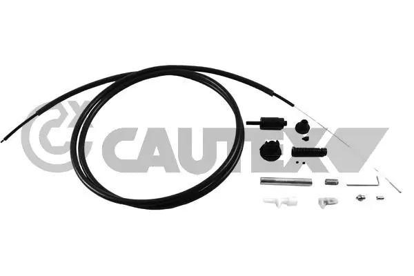 038407 Cautex