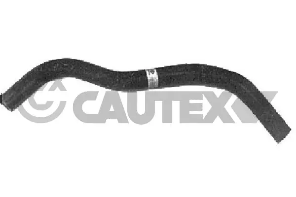 466017 Cautex