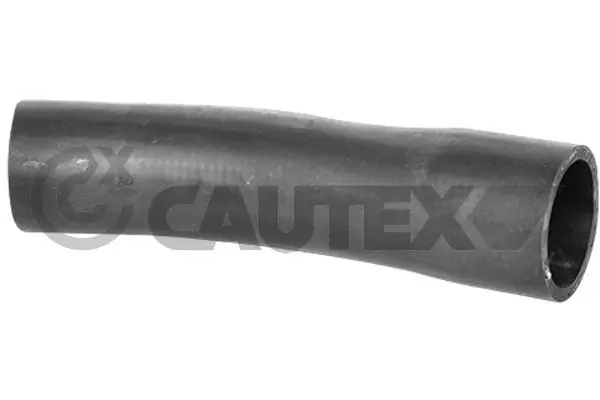 754544 Cautex
