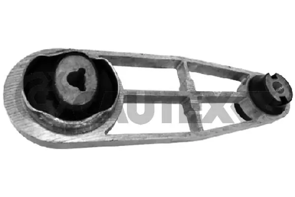 021323 Cautex