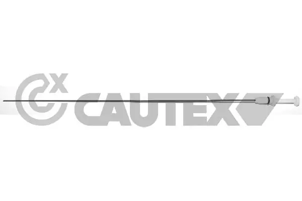 031590 Cautex