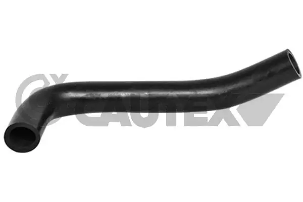 036744 Cautex