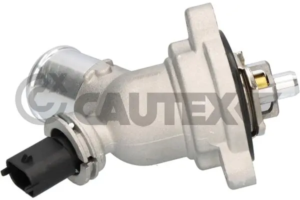 756914 Cautex