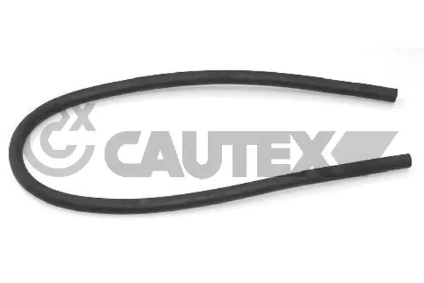 036386 Cautex