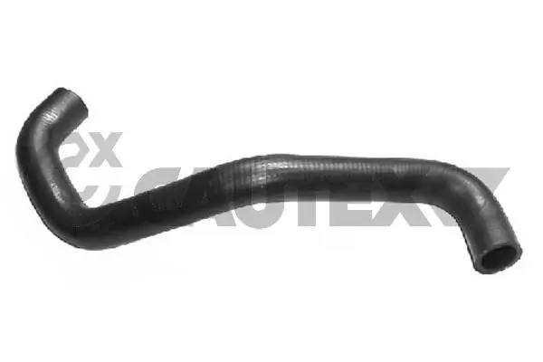 031073 Cautex