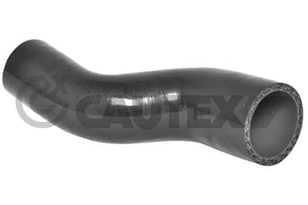 752987 Cautex