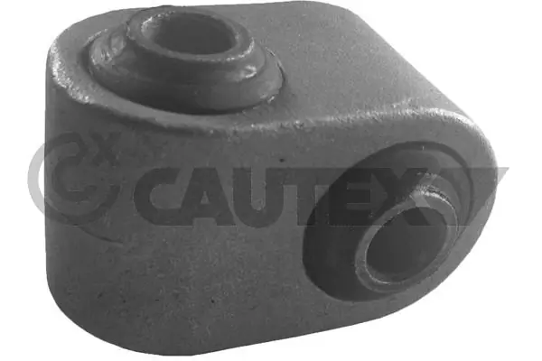 020289 Cautex