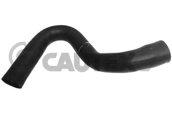 086782 Cautex