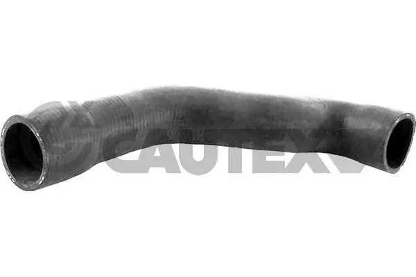 206008 Cautex
