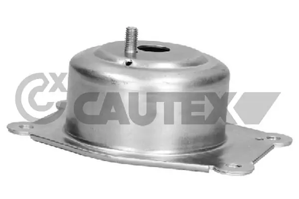482527 Cautex