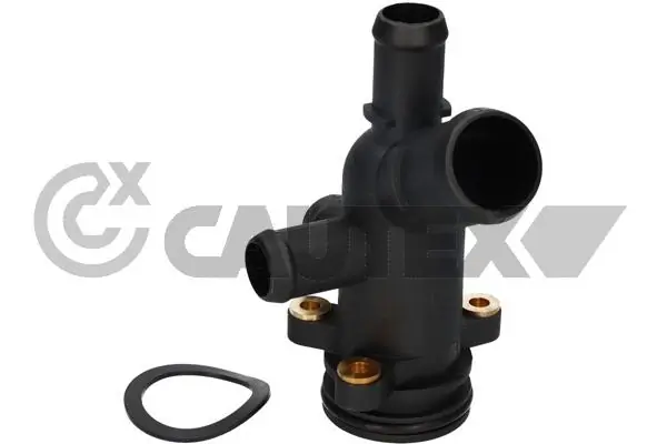 955451 Cautex