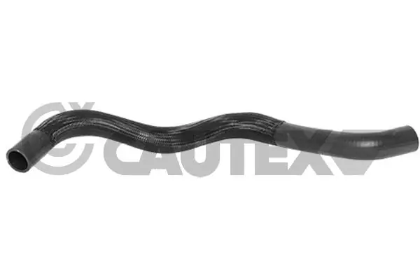 753427 Cautex