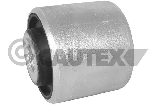 461153 Cautex