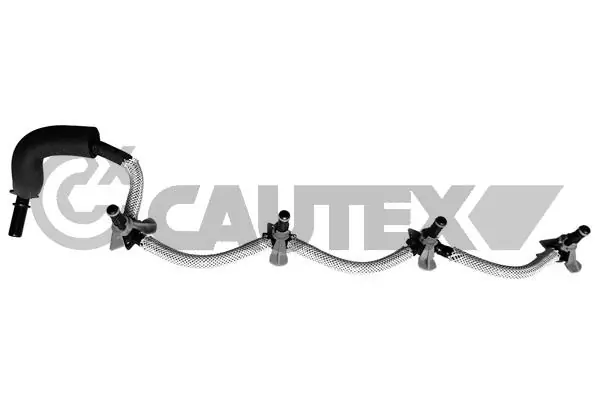 757421 Cautex