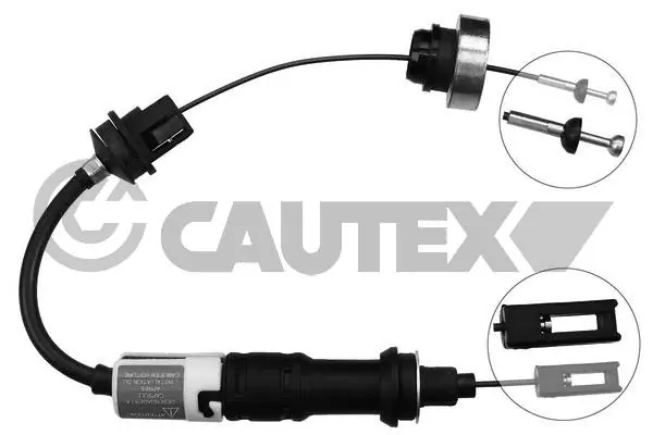 019031 Cautex