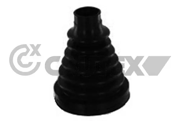 081311 Cautex