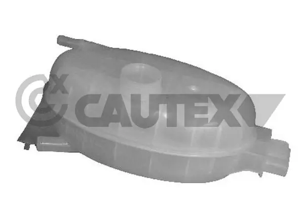 021063 Cautex