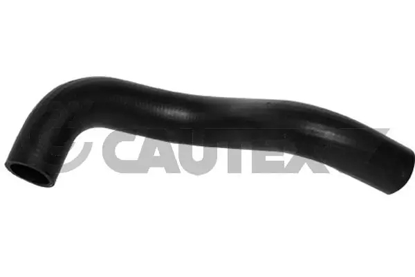 754151 Cautex
