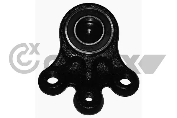 031577 Cautex