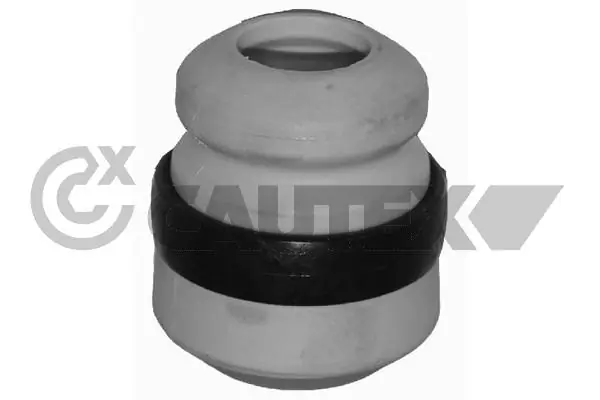 482517 Cautex