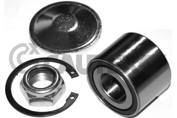 Cojinete de cubo delantero Renault LOGAN I desde 30,26 €