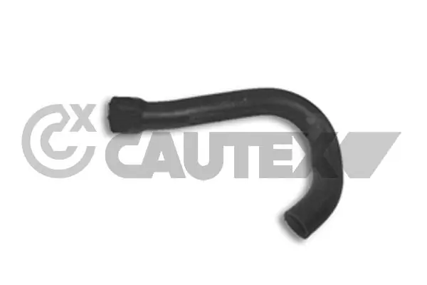 186038 Cautex