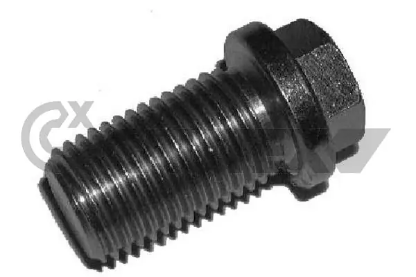 952034 Cautex