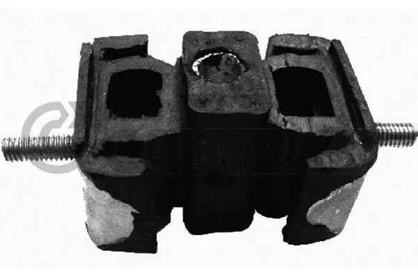 020254 Cautex