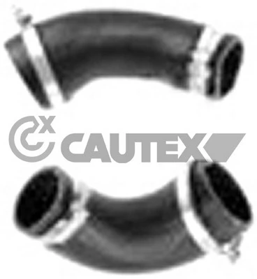 765462 Cautex