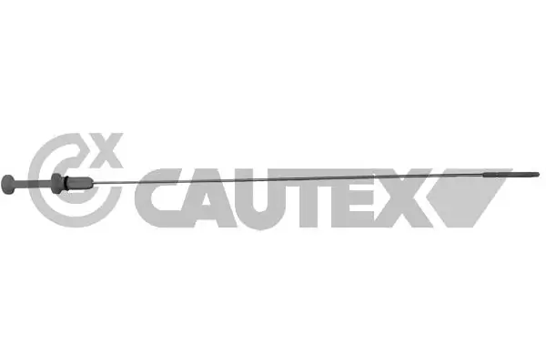 031329 Cautex
