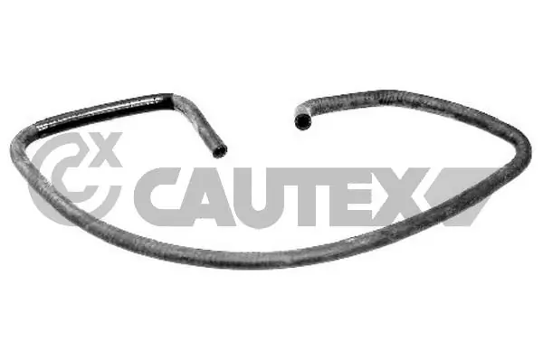 031080 Cautex