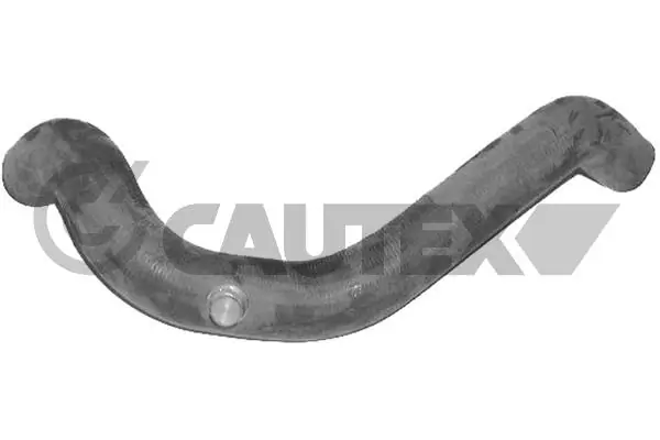 026536 Cautex