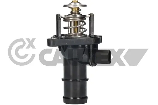 955489 Cautex