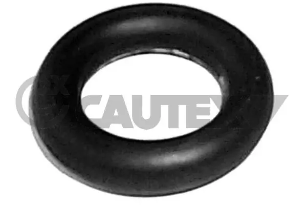 700456 Cautex
