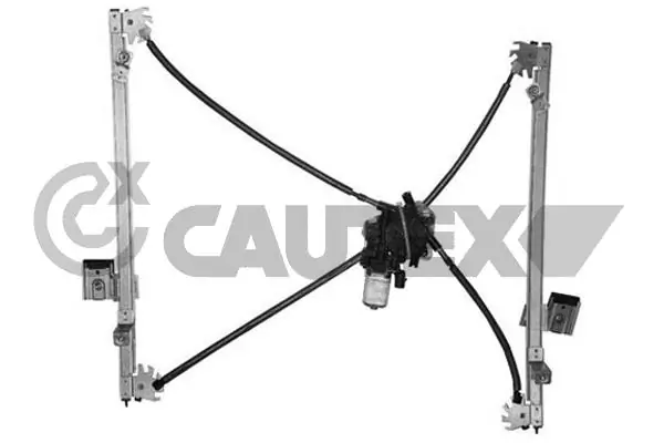 127010 Cautex