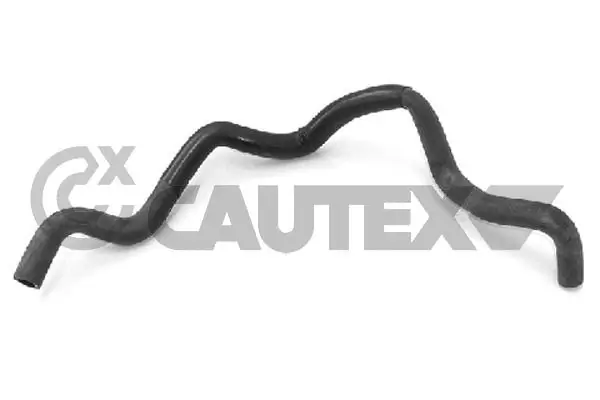 031091 Cautex