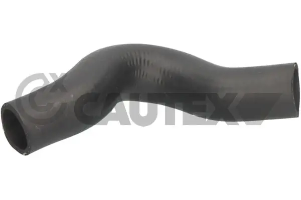 486087 Cautex