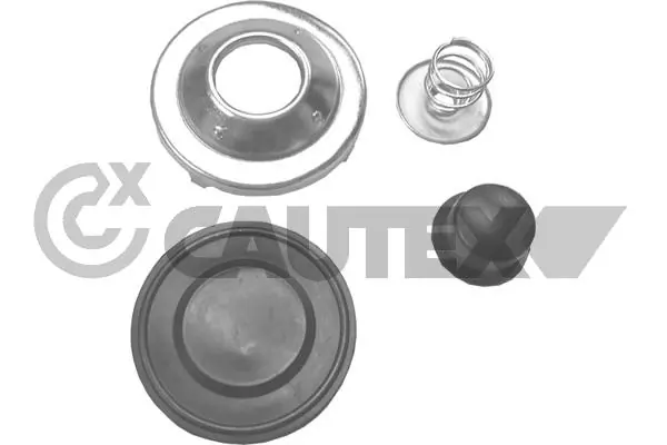 750256 Cautex