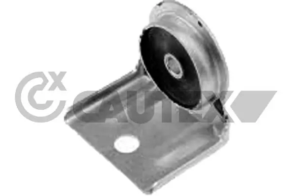 770282 Cautex