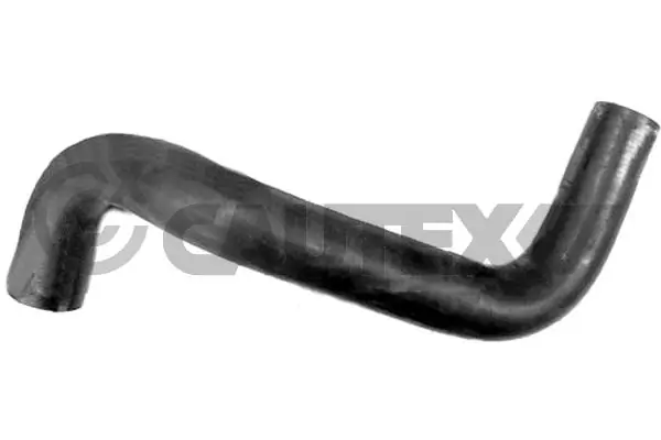 036700 Cautex