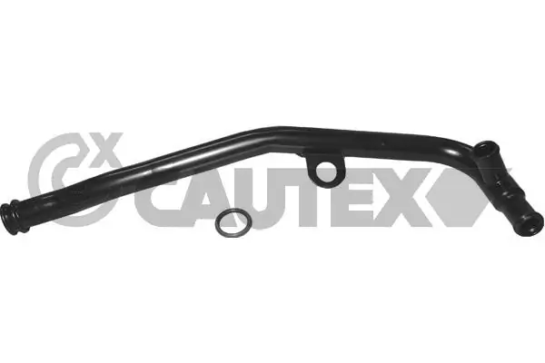 955493 Cautex