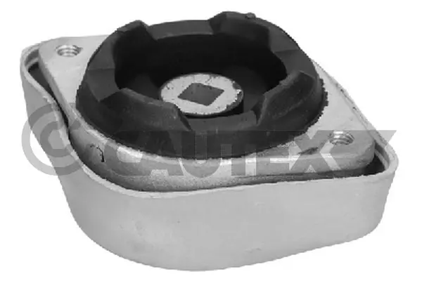 460165 Cautex